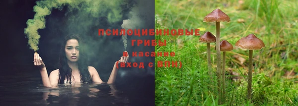 ПСИЛОЦИБИНОВЫЕ ГРИБЫ Алексеевка