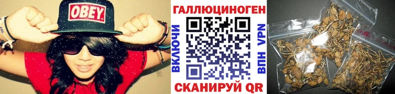 даркнет сайт  Белокуриха  Галлюциногенные грибы Psilocybine cubensis 